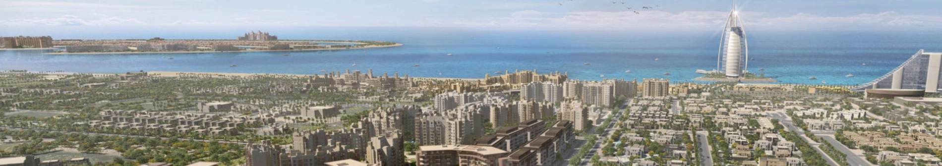 mina-rashid-area-guide
